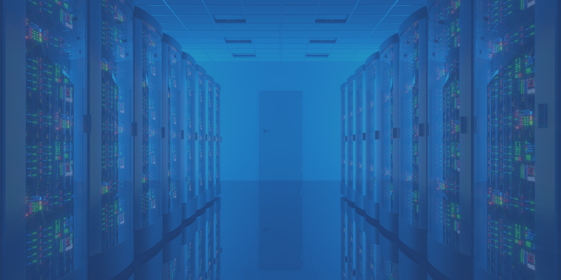 Computer Expert Witness Computer Expert Witness