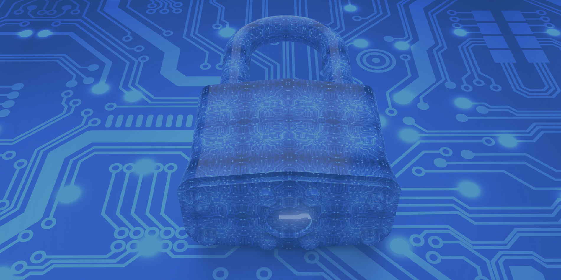 Cyber Security Expert Cyber Security Expert